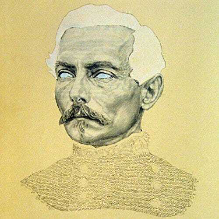 Rogue Wave Delusions Of Grand Fur LP/Vinyl