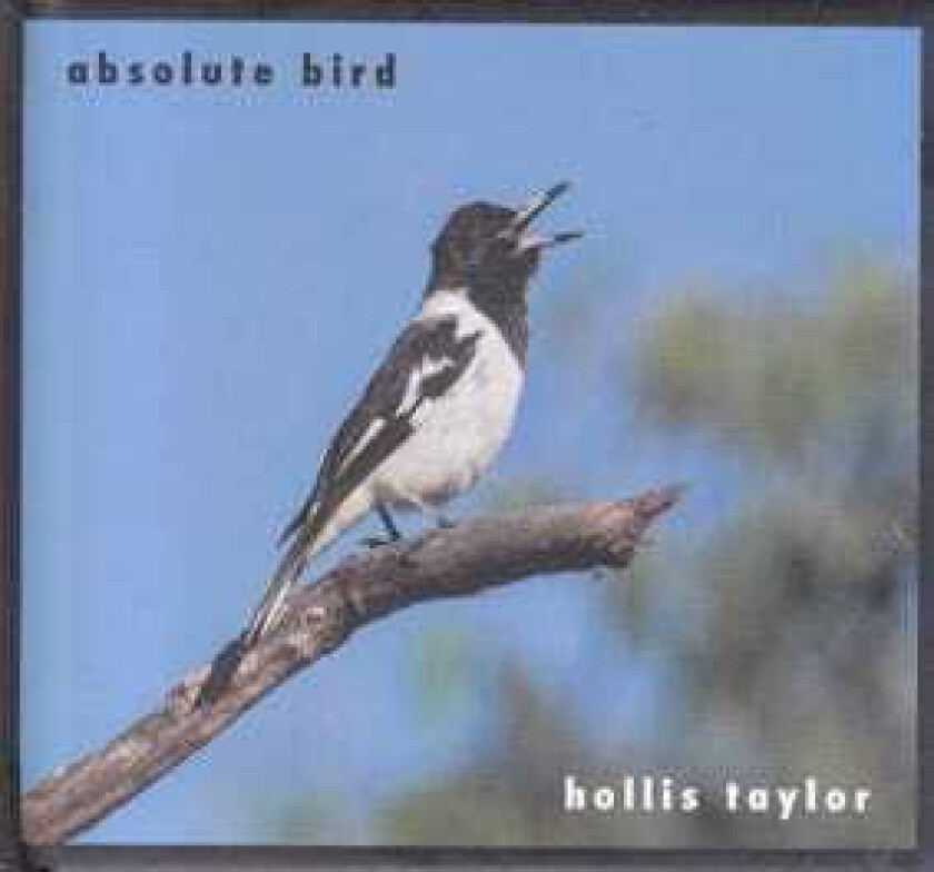 Hollis Taylor Absolute Bird CD