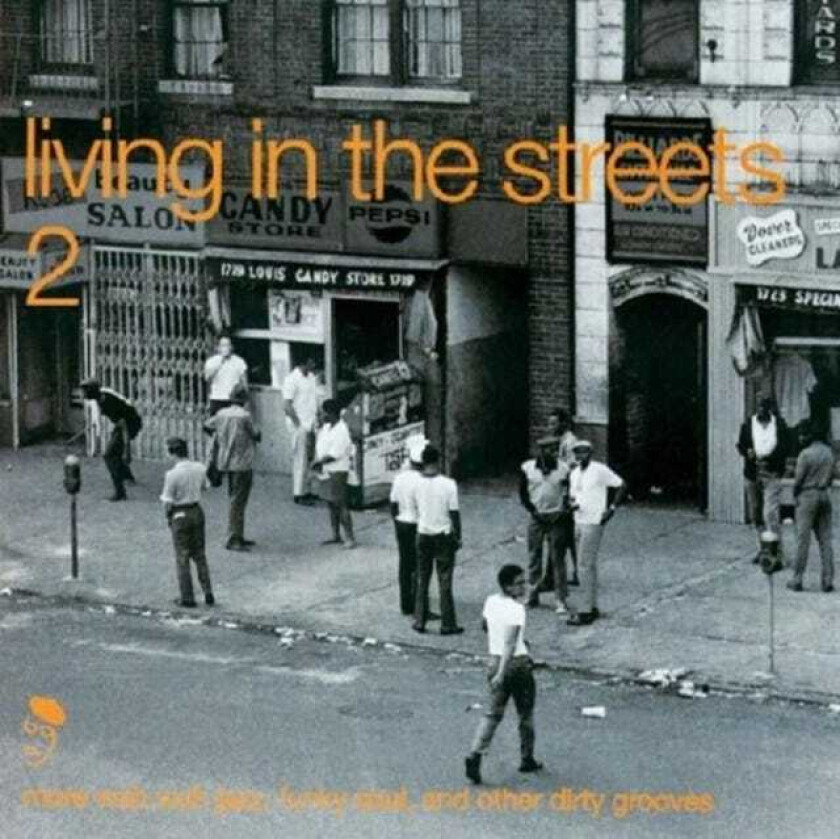 Diverse Soul  Living In The Streets Vol.2: More Wah Wah Jazz Funky Soul & Other Dirty Grooves  LP/Vinyl