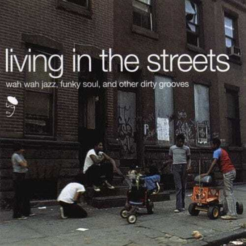 Diverse Soul Living In The Streets Vol.1: Wah Wah Jazz Funky Soul & Other Dirty Grooves LP/Vinyl