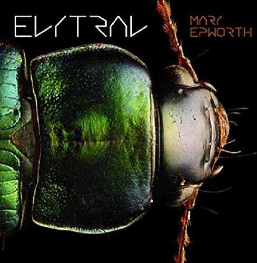 Mary Epworth : Elytral CD Album Digipak (2017)