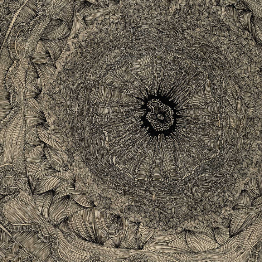 Bookworms Appropriation Loops (A Love Story) LP/Vinyl