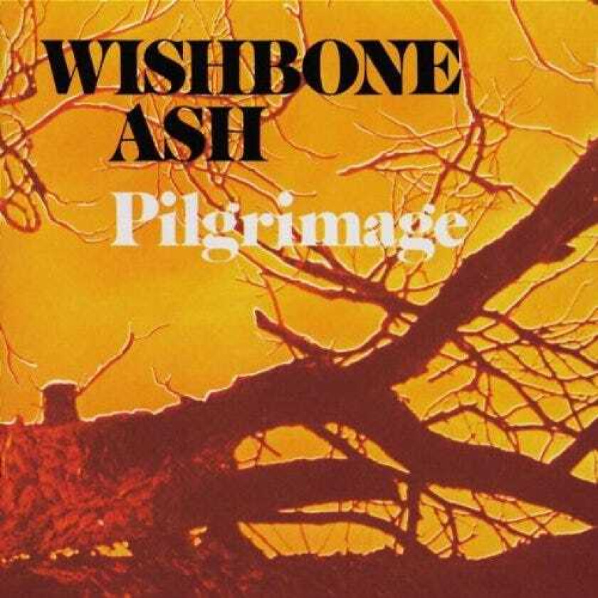 Wishbone Ash Pilgimage CD