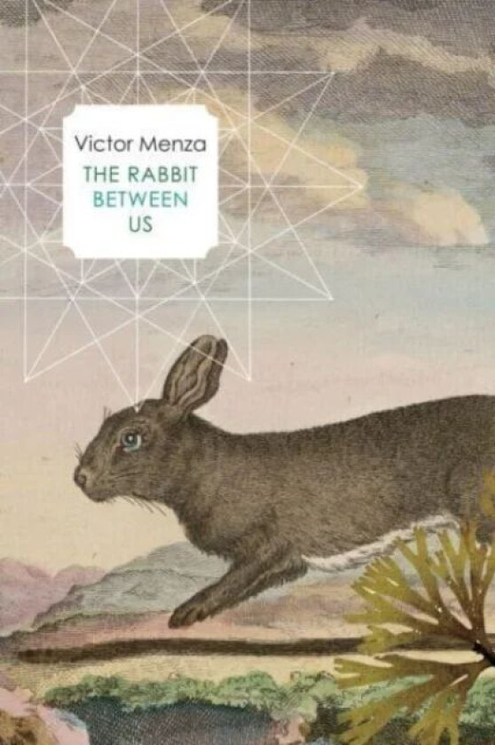 The Rabbit Between Us av Victor Menza