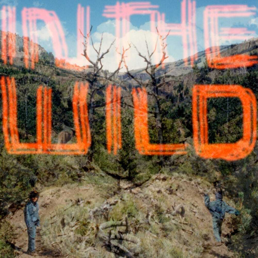 FaltyDL In The Wild CD
