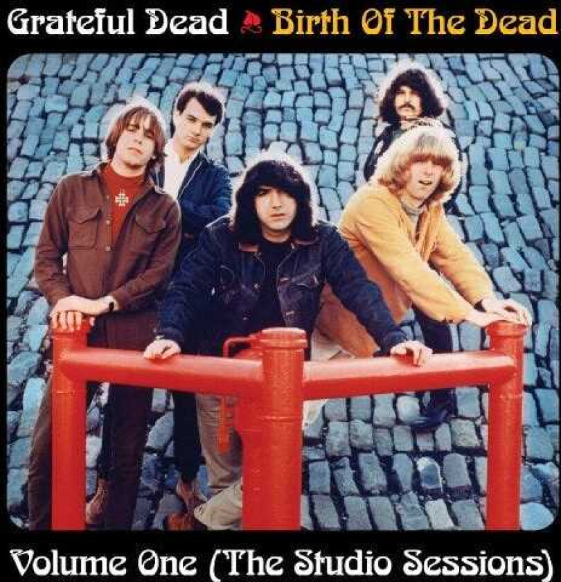 Grateful Dead Birth Of The Grateful Dead: Volume OneThe Studio LP/Vinyl