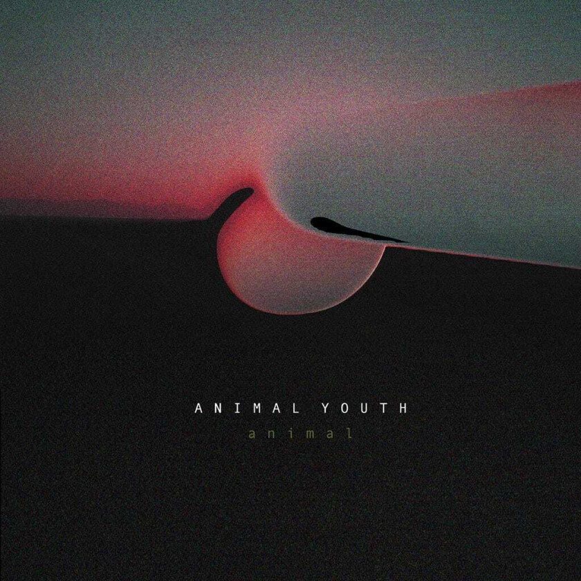 Animal Youth Animal LP/Vinyl