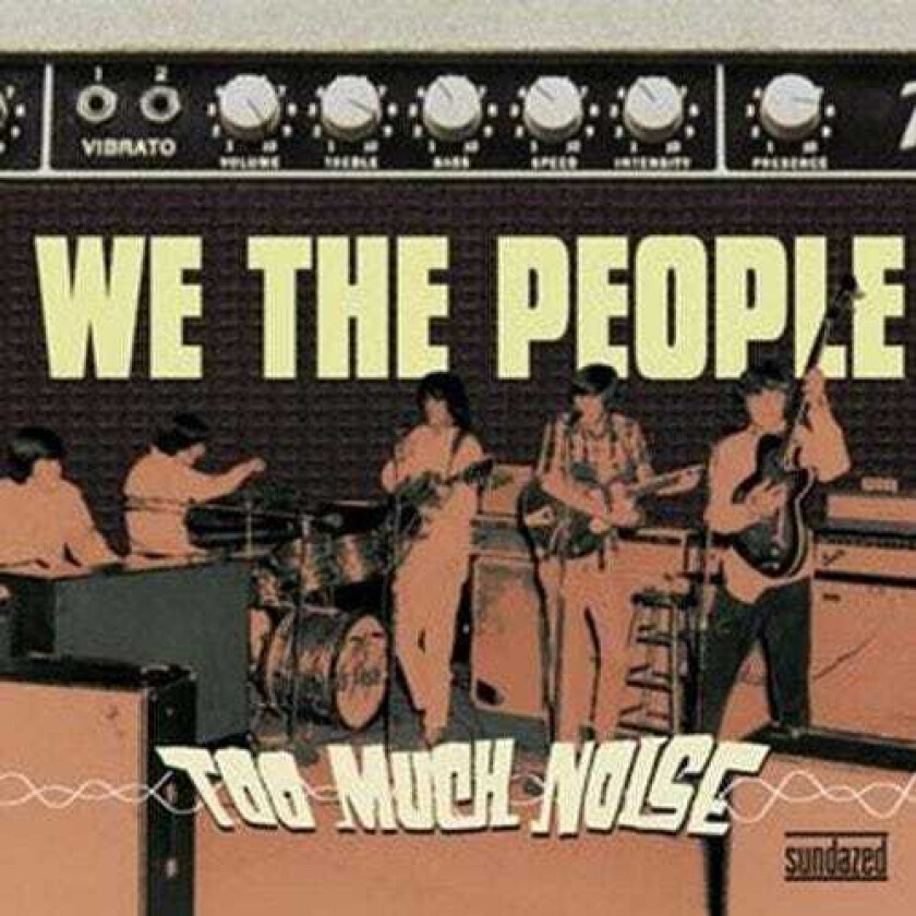 We The People Too Much Noise LP/Vinyl