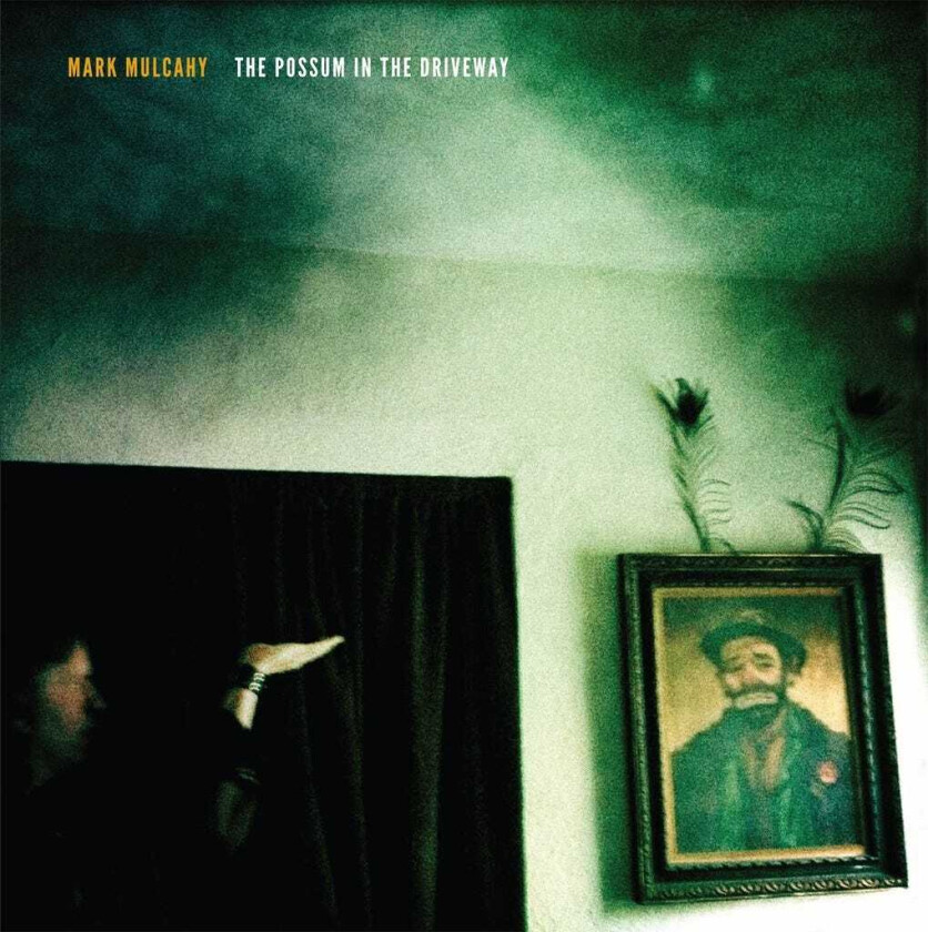 Mark Mulcahy The Possum In The Driveway CD