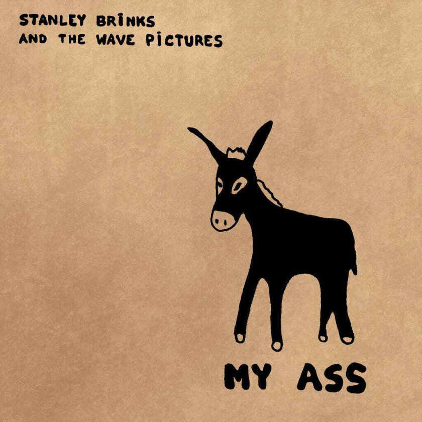 Stanley Brinks And The Wave Pictures  My Ass  CD