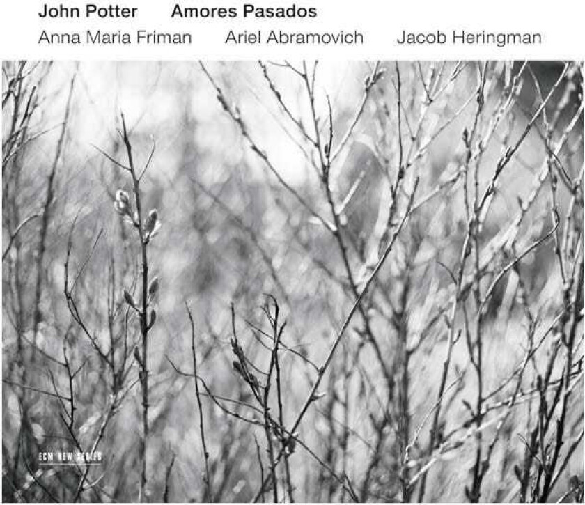 John Potter Amores Pasados CD