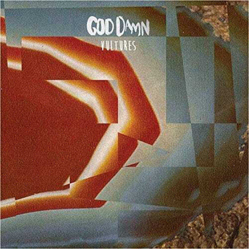 God Damn Vultures LP/Vinyl