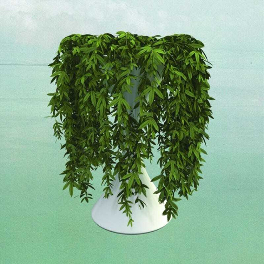 Errors : Lease of Life CD Album Digipak (2015)