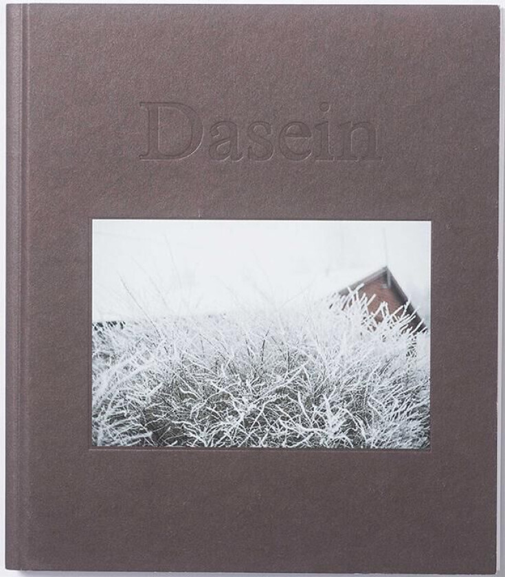 Dasein av Katja Høst