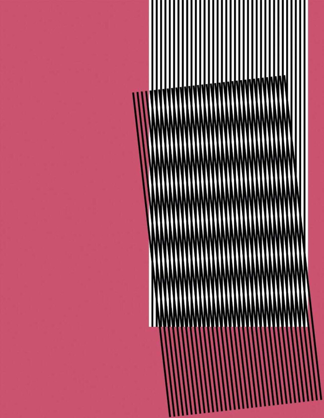 Hot Chip Why Make Sense? LP/Vinyl