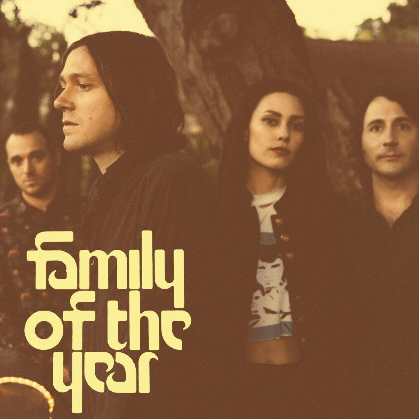 Family Of The Year Family Of The Year LP/Vinyl