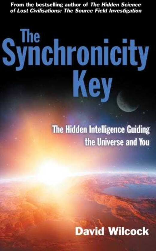 The Synchronicity Key The Hidden Intelligence Guiding the Universe and You