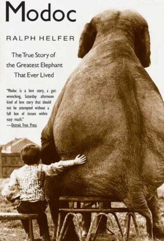 Modoc The True Story of the Greatest Elephant That Ever Lived
