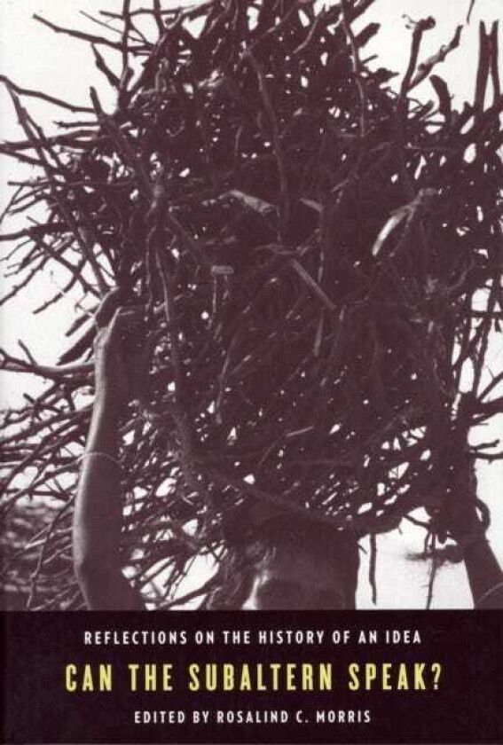 Can the Subaltern Speak? Reflections on the History of an Idea