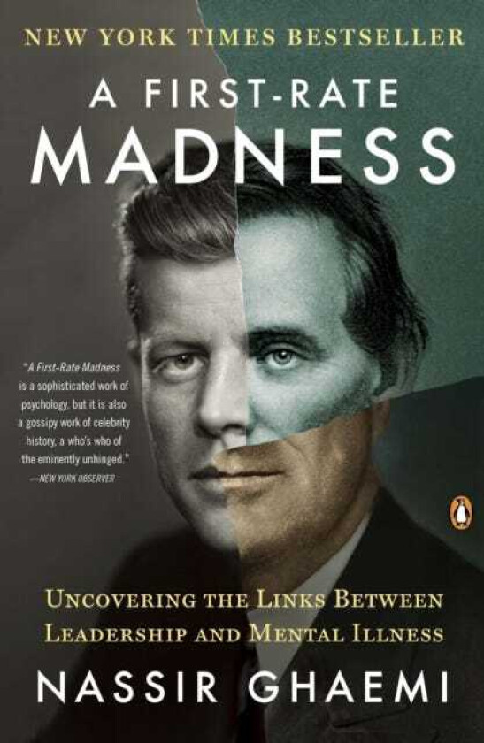 A FirstRate Madness Uncovering the Links Between Leadership and Mental Illness