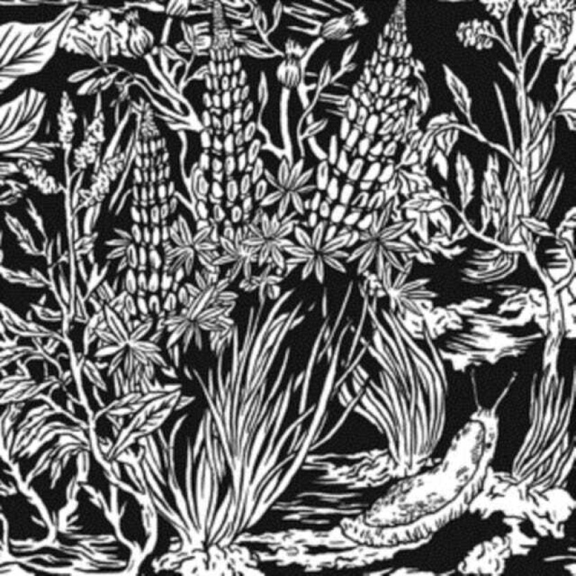 Eternal Tapestry Wild Strawberries CD