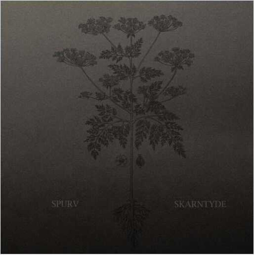 Spurv Skarntyde LP/Vinyl