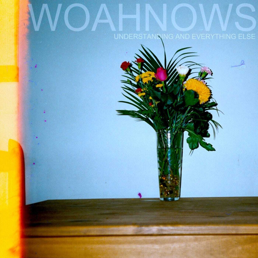 Woahnows Understanding And Everything Else LP/Vinyl