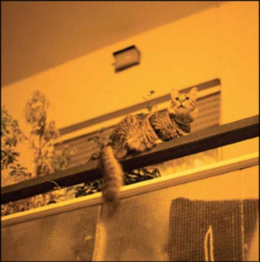 Sam Prekop The Republic LP/Vinyl