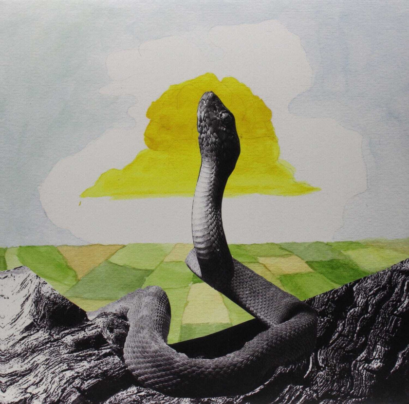 Woods Bend Beyond LP/Vinyl