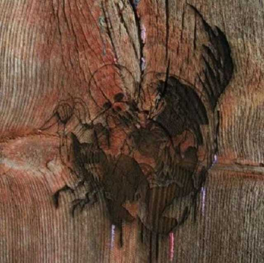 Avey Tare's Slasher Flicks, Avey Tare Enter The Slasher House LP/Vinyl