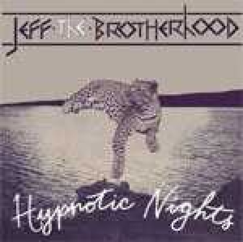 Jeff The Brotherhood Hypnotic Nights LP/Vinyl