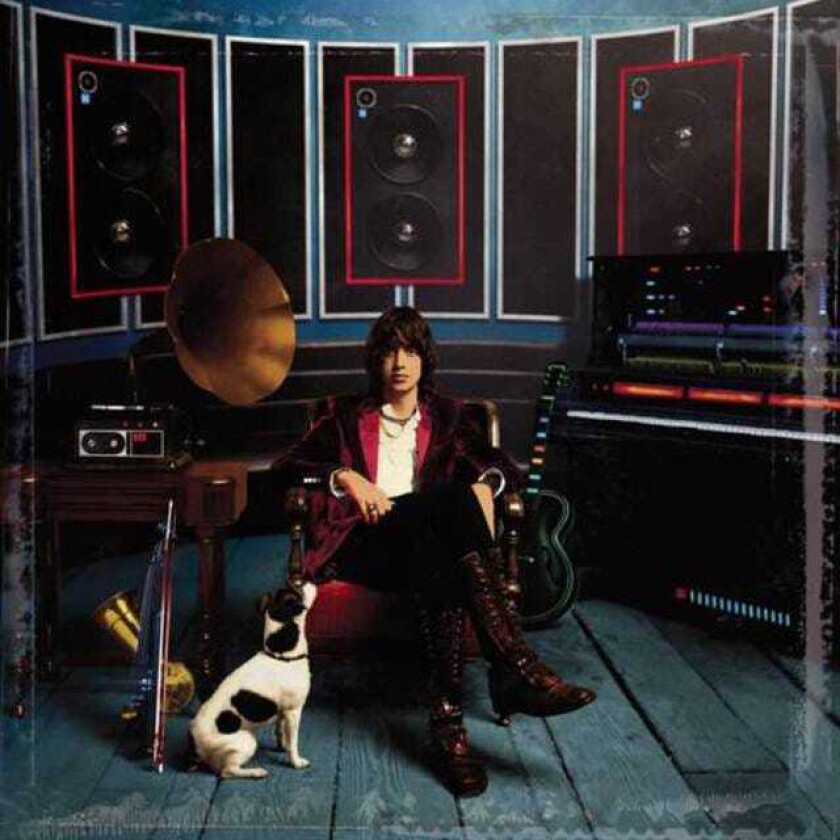 Julian Casablancas Phrazes For The Young LP/Vinyl