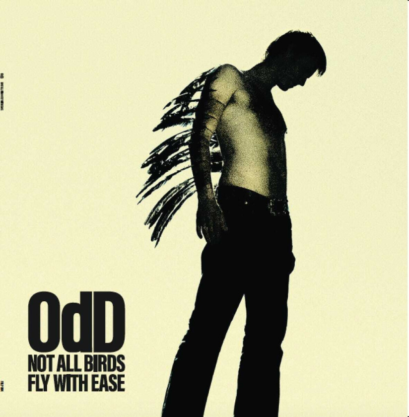 Odd Not All Birds Fly With Ease LP/Vinyl