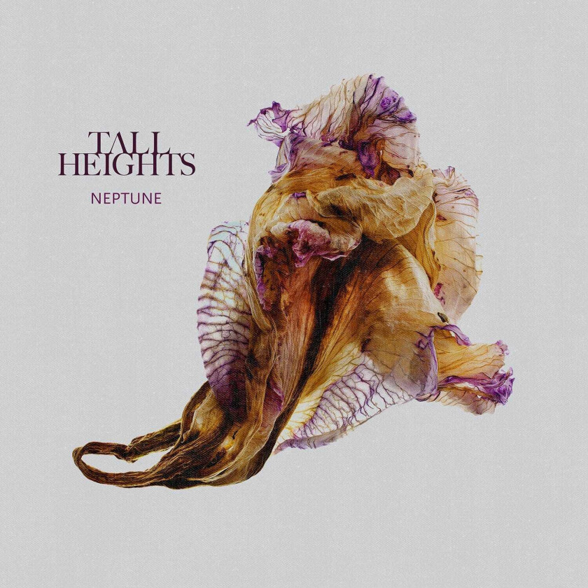 Tall Heights Neptune CD