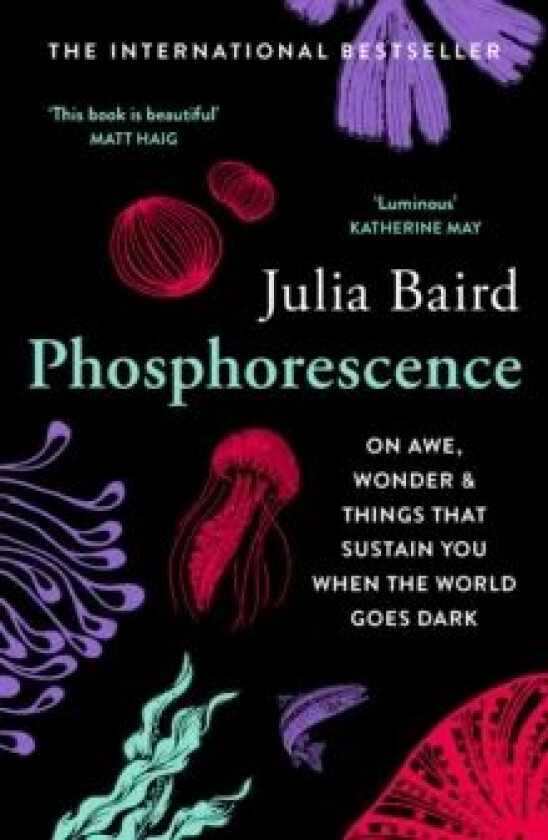 Phosphorescence av Julia Baird