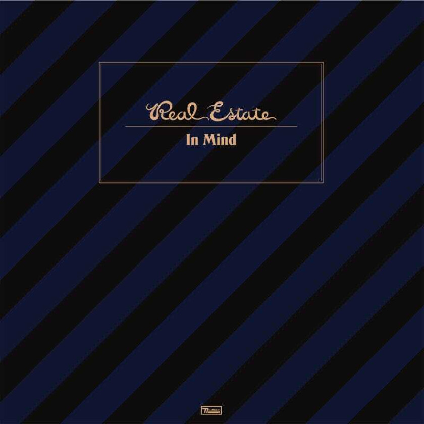 Real Estate In Mind LP/Vinyl