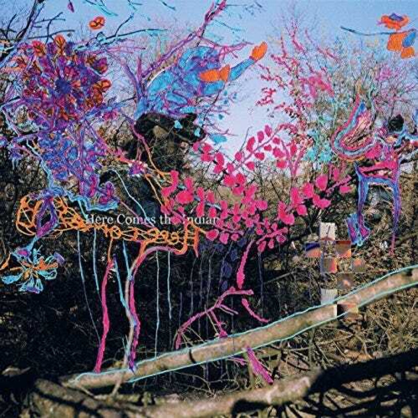 Animal Collective Here Comes The Indian LP/Vinyl