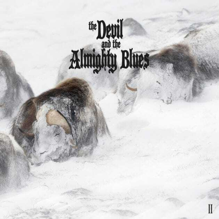 The Devil And The Almighty Blues II CD