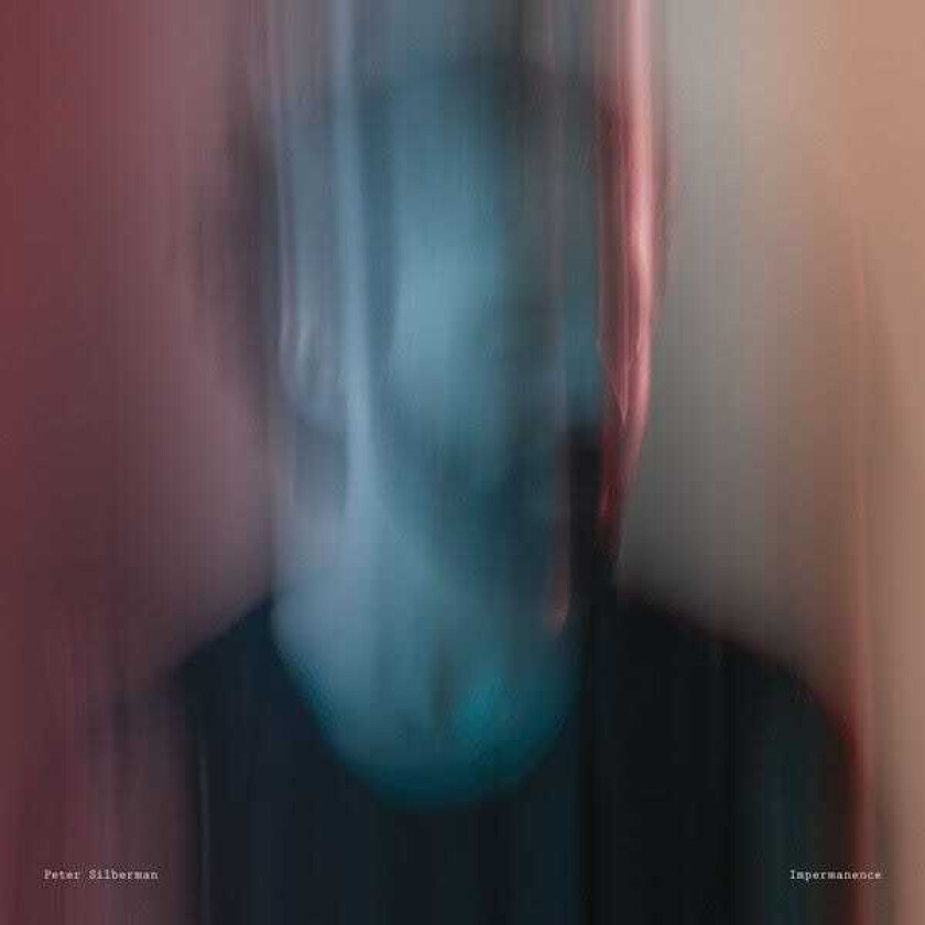 Peter Silberman : Impermanence CD Album Digipak (2017)