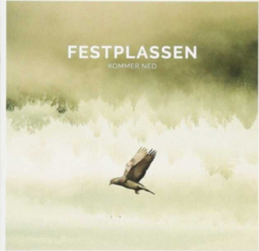 Festplassen Festplassen LP/Vinyl