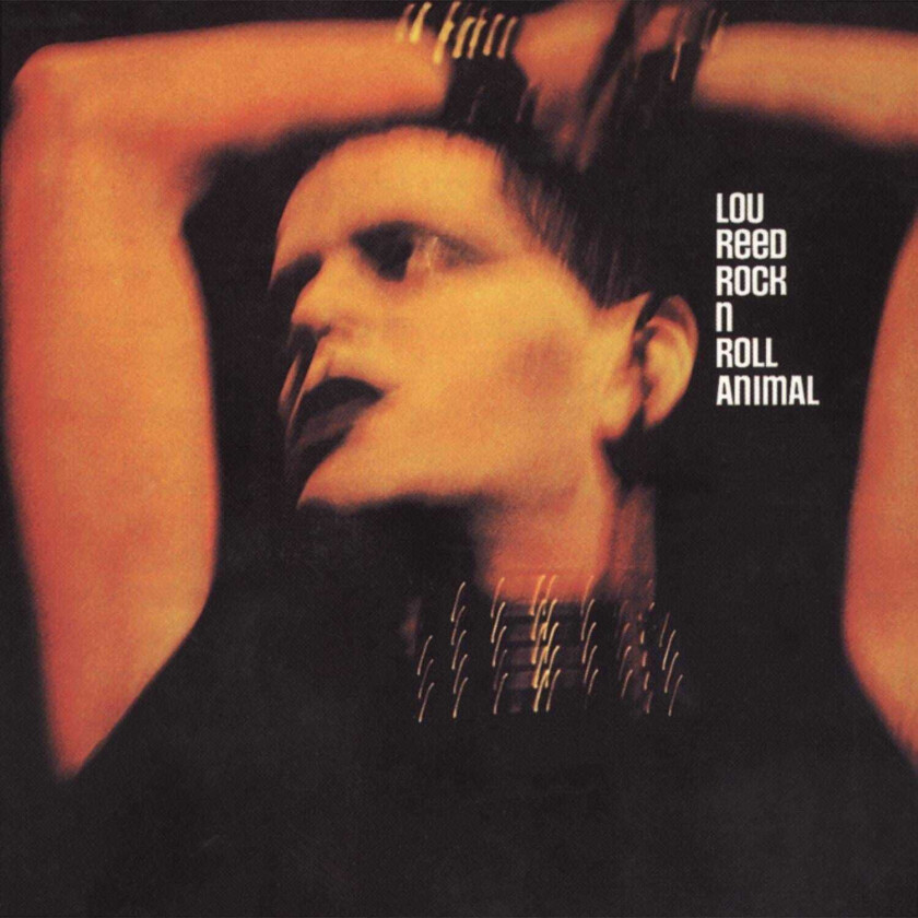 Lou Reed Rock 'N' Roll Animal LP/Vinyl