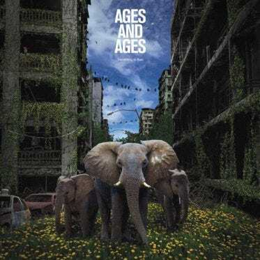 Ages And Ages Something To Ruin LP/Vinyl