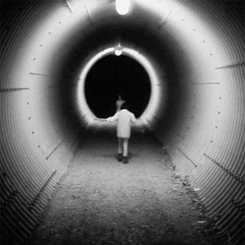 Mary Lattimore & Jeff Zeigler Music Inspired By Phillippe Garrel's Le Révélateur LP/Vinyl