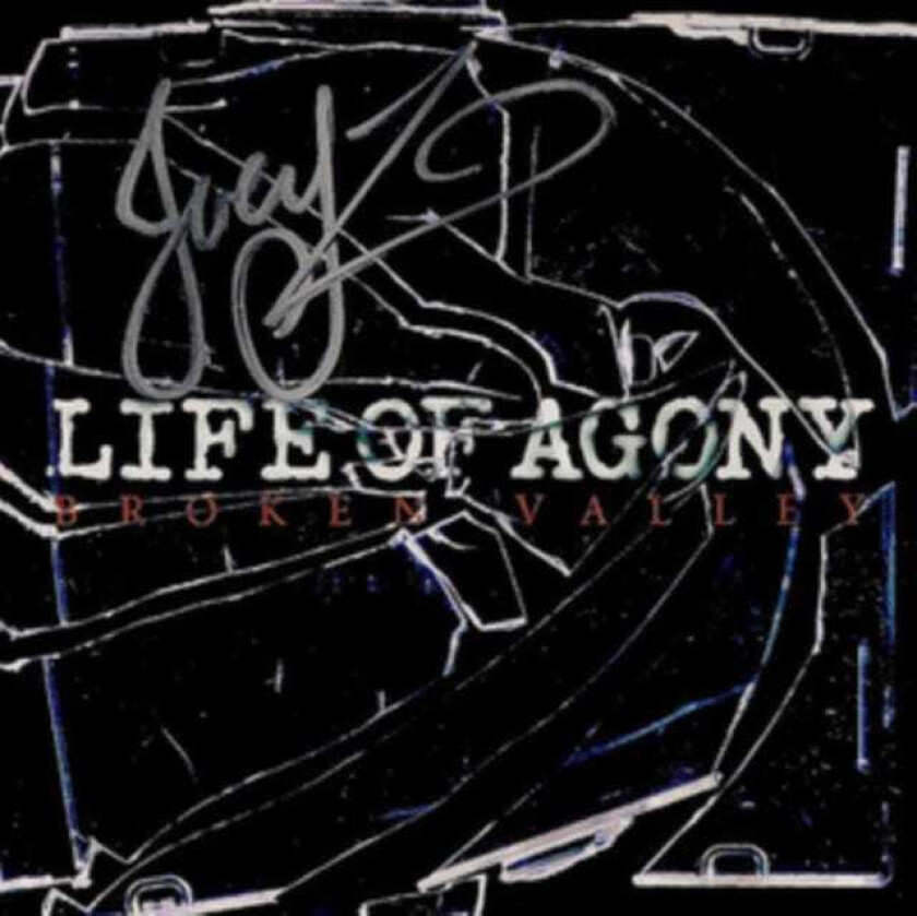 Life Of Agony Broken Valley CD