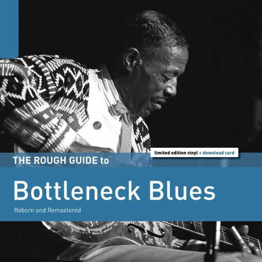 Diverse Blues The Rough Guide To Bottleneck Blues Reborn And Remastered LP/Vinyl