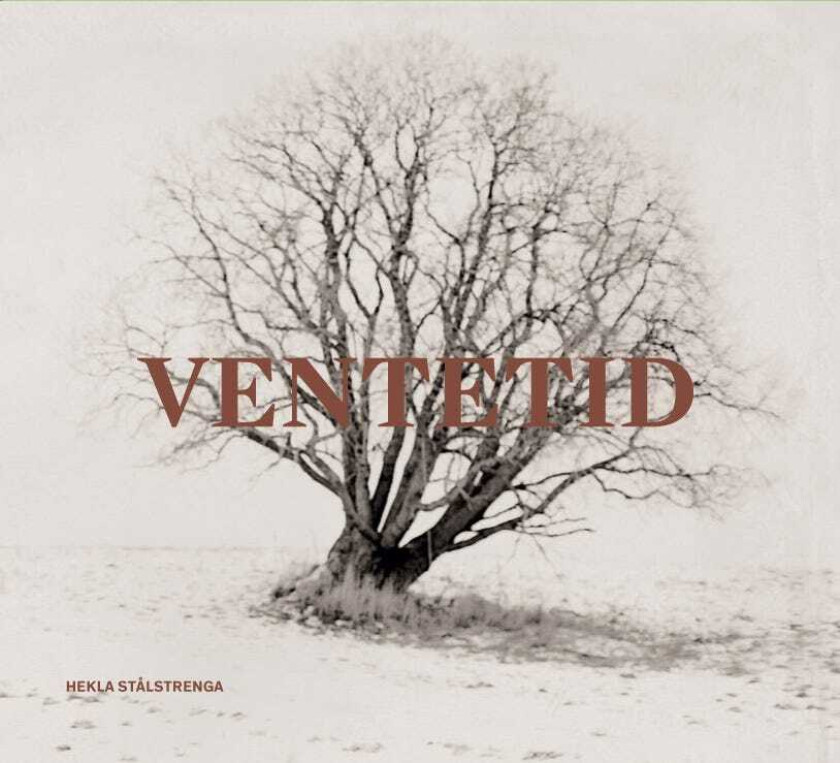 Hekla Stålstrenga Ventetid LP/Vinyl