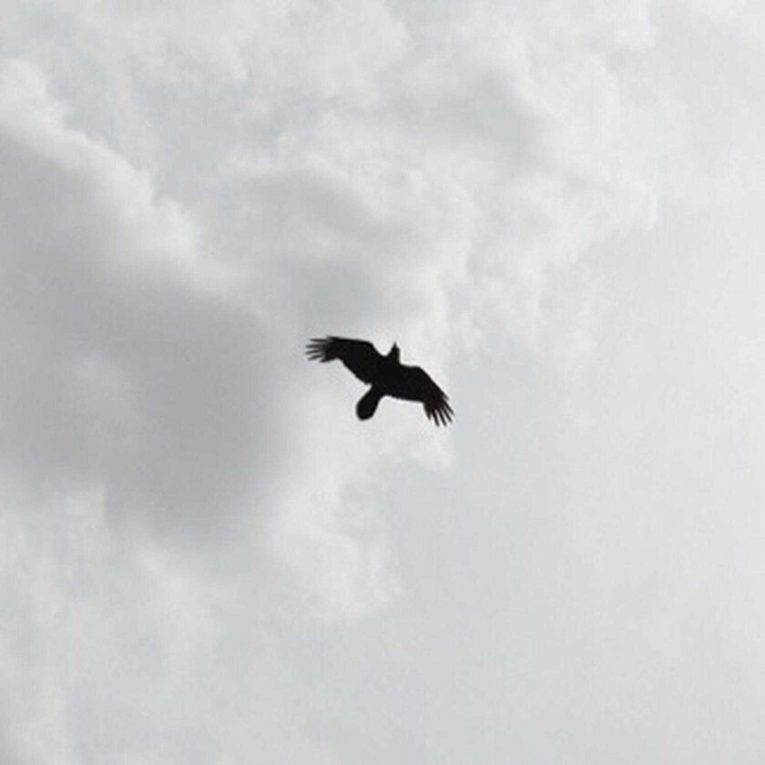 Moon Bros. These Stars LP/Vinyl