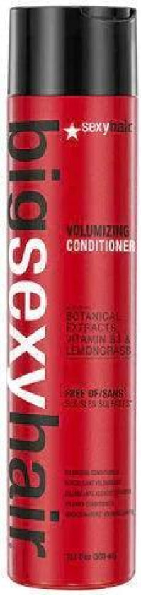 Big Boost Up Conditioner 300 ml