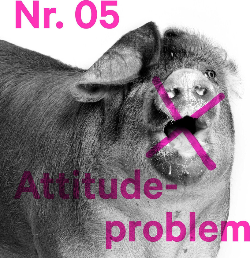 karpe Attitudeproblem LP/Vinyl