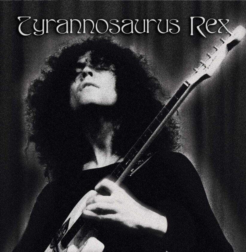 Marc Bolan & T.Rex  A Crown Of Dark Swansdown  CD